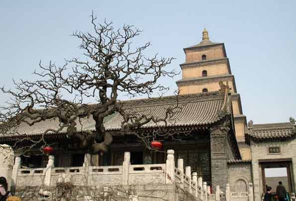 西安大慈恩寺(图2)