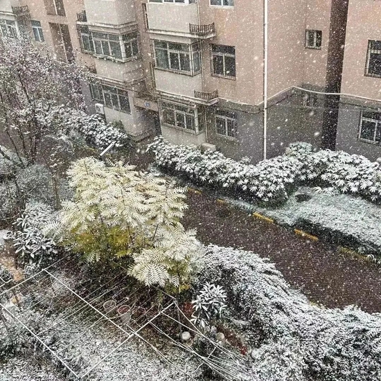 美炸！宝鸡初雪已至，许你一场浪漫人间(图6)