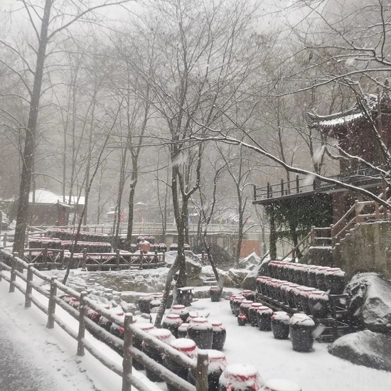 美炸！宝鸡初雪已至，许你一场浪漫人间(图16)