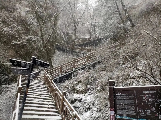 美炸！宝鸡初雪已至，许你一场浪漫人间(图20)