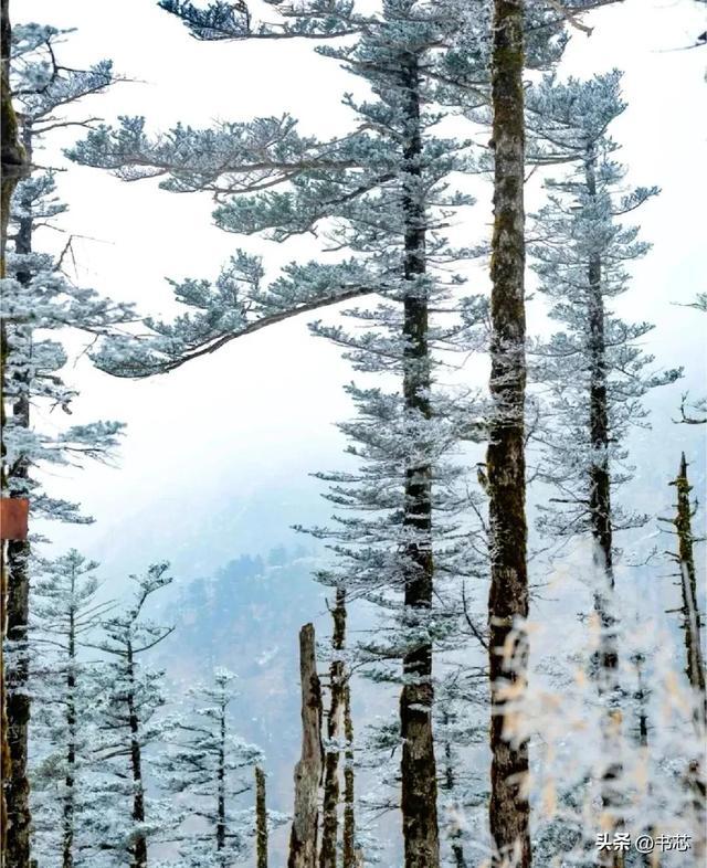 秦岭之巅，宛若梦幻般的冰雪殿堂(图5)