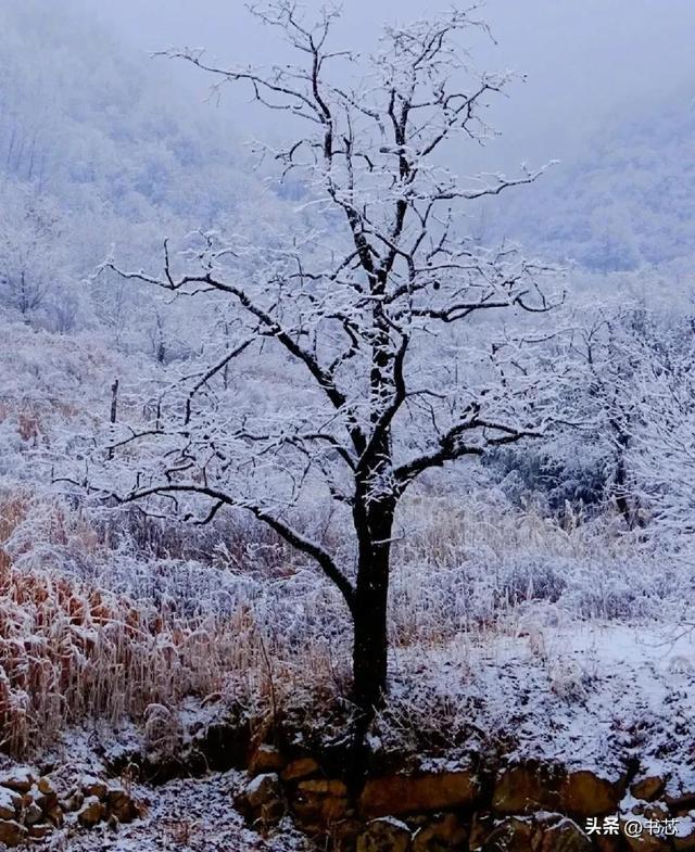 秦岭之巅，宛若梦幻般的冰雪殿堂(图7)