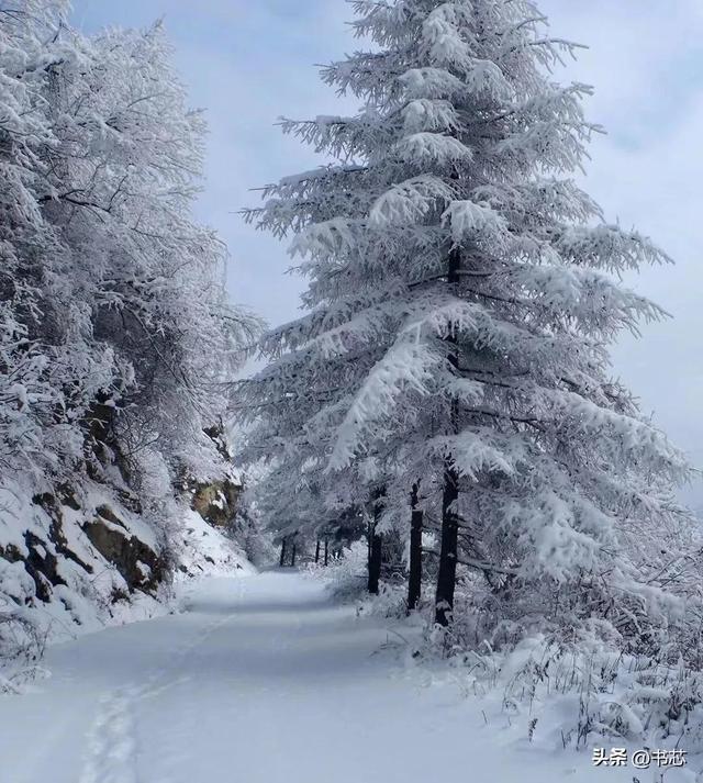 秦岭之巅，宛若梦幻般的冰雪殿堂(图12)