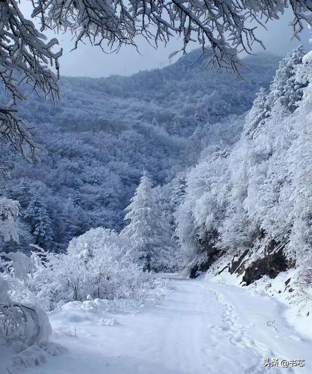 秦岭之巅，宛若梦幻般的冰雪殿堂(图11)