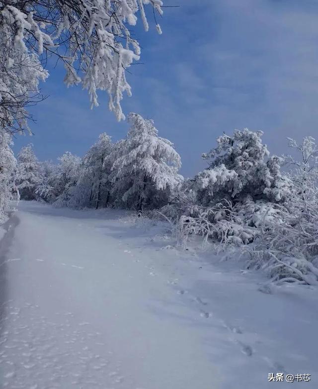 秦岭之巅，宛若梦幻般的冰雪殿堂(图14)