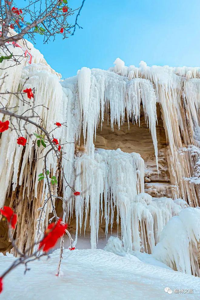 人文榆林丨总要去趟郑家川吧，相约一场冰雪奇缘的浪漫(图1)