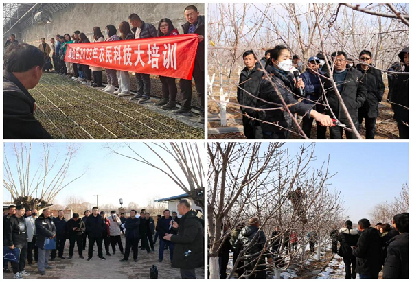 榆林靖边县开展2023年农民科技大培训活动(图2)
