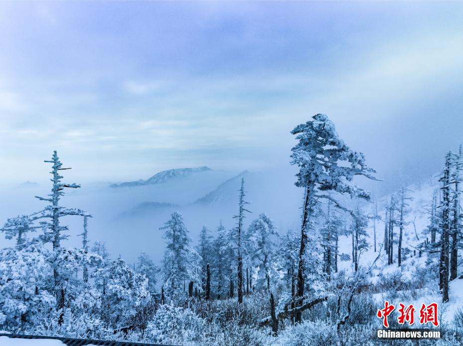 初春雪后的秦岭云海 宛若流动的山水画