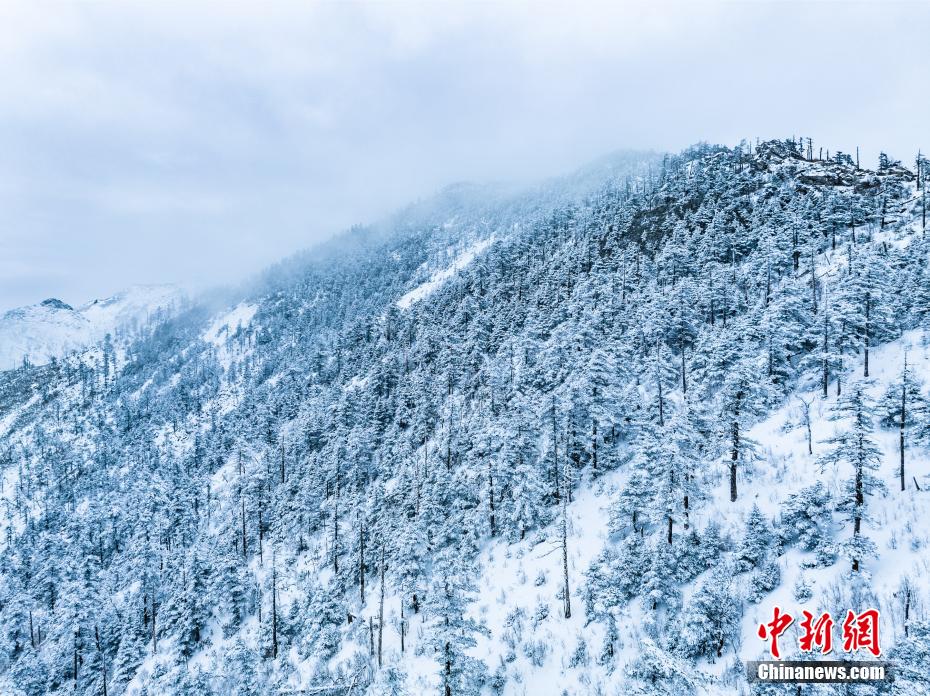 初春雪后的秦岭云海 宛若流动的山水画