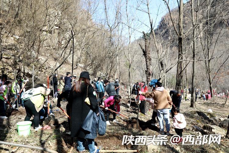 400余名志愿者在西安翠华山下种下生态树(图2) 92d45967d88b6d1c91e935cda94f942c.jpeg