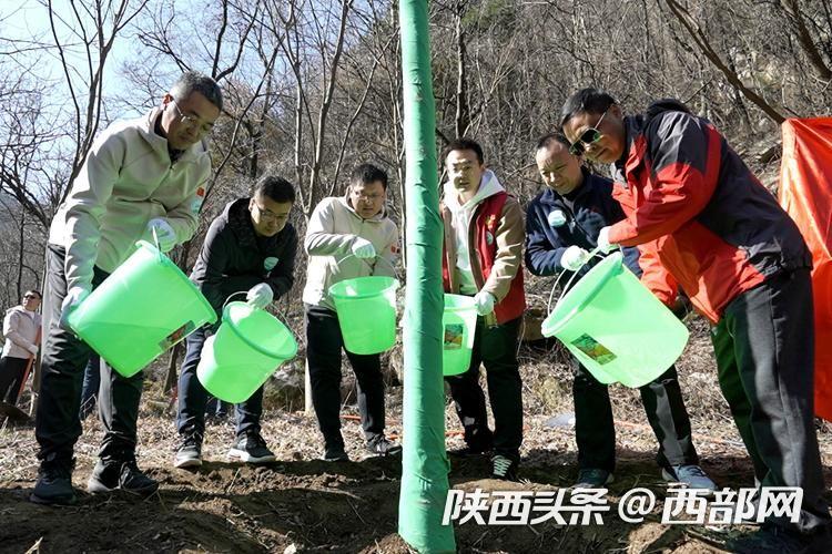 400余名志愿者在西安翠华山下种下生态树(图3) 4737c6b4a9d528c53f3972839d92a61b.jpeg