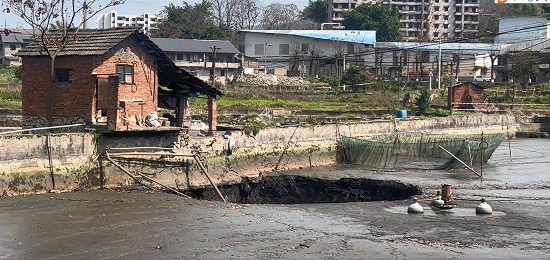 重庆一鱼塘突现神秘深坑,塘内近2万斤观赏鱼一夜消失(图1) 重庆一鱼塘突现神秘深坑,塘内近2万斤观赏鱼一夜消失(图1)