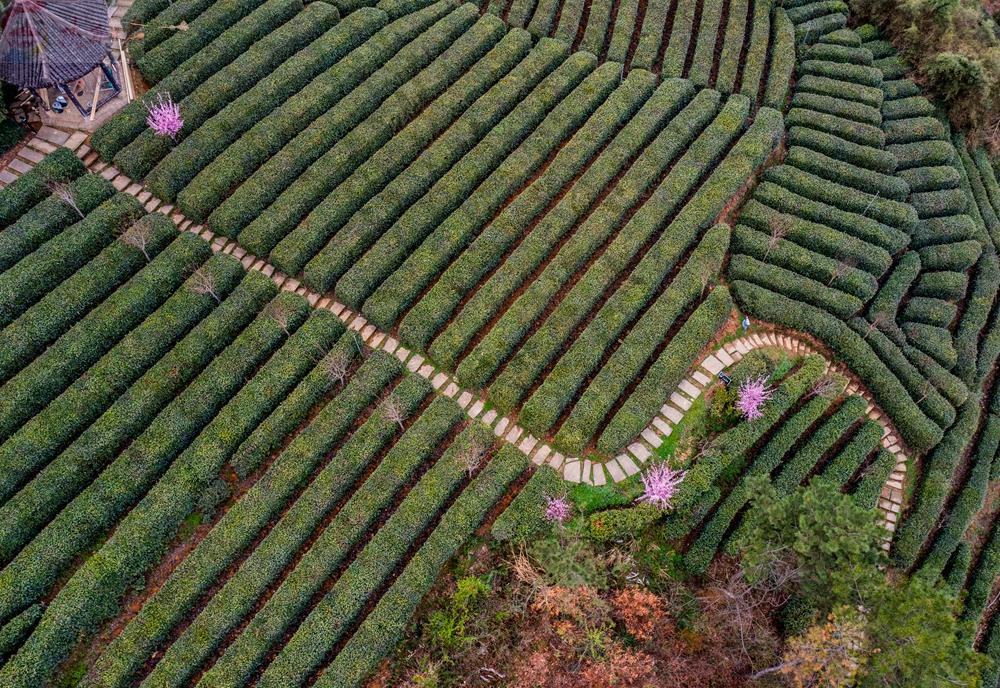 宁强：绿水青山生态美 景色如画引客来(图9)