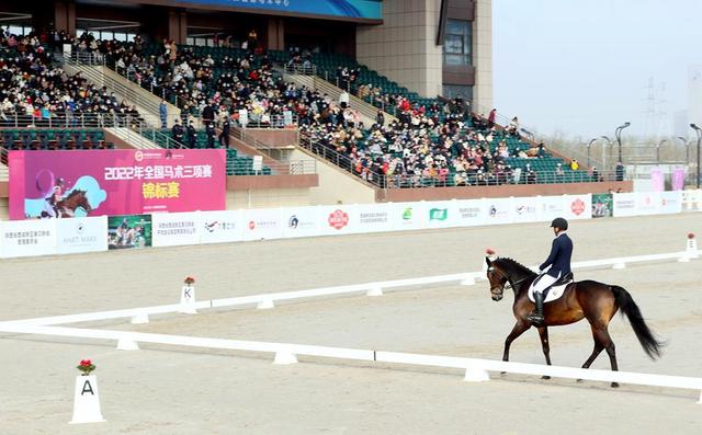 陕西省首次承办国家级马术单项赛 全国马术三项赛锦标赛西安开赛(图2)
