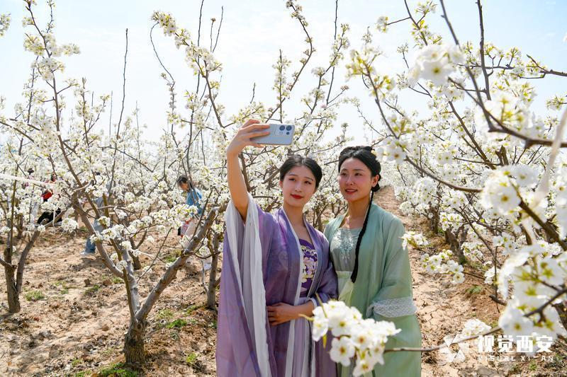 西安火车站“春风来·梨花开 首列西安-蒲城梨花节旅游专列”鸣笛发车(图1)