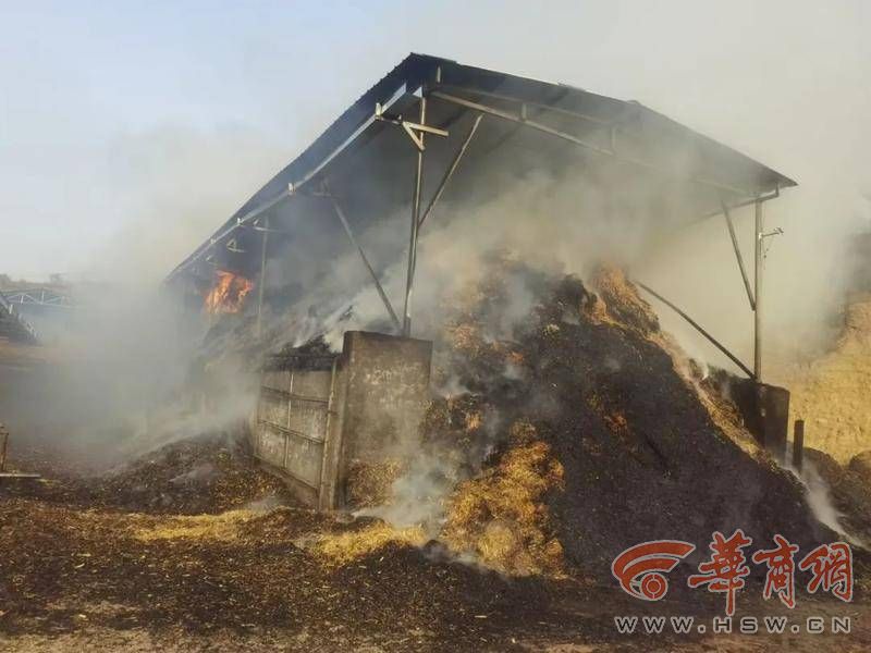 陕西一400平方米牛场起火损失约20万元 事故疑因烟头引发(图3) 微信图片_20230414185704.jpg