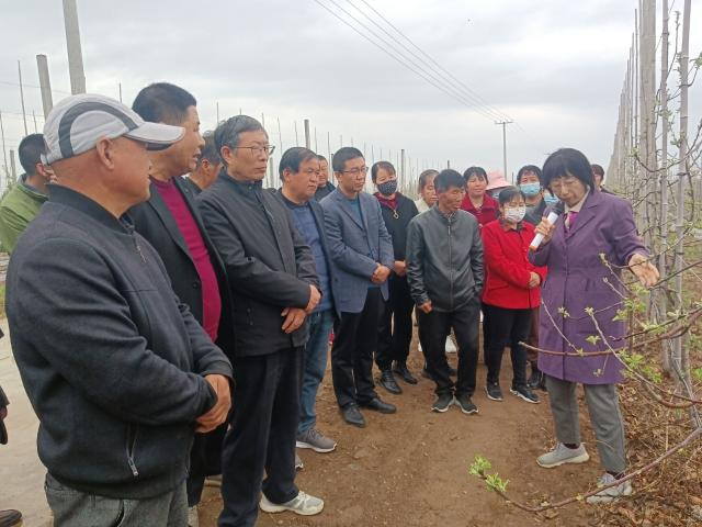 西北农林科技大学“头雁”项目导师团在合水县开展技术指导(图2)