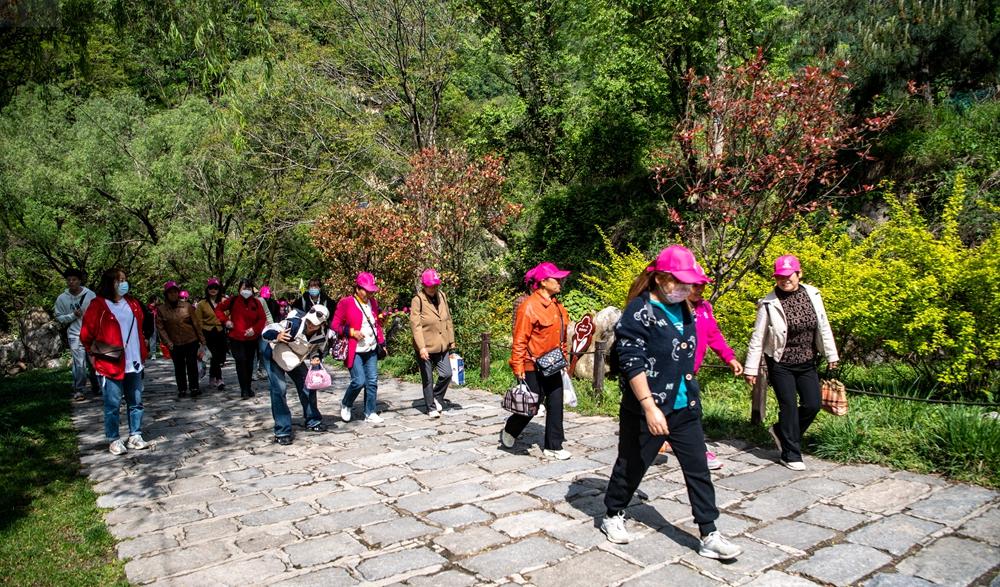 2023西安春季文化旅游活动暨翠华山第二十二届登山节开启(图2)