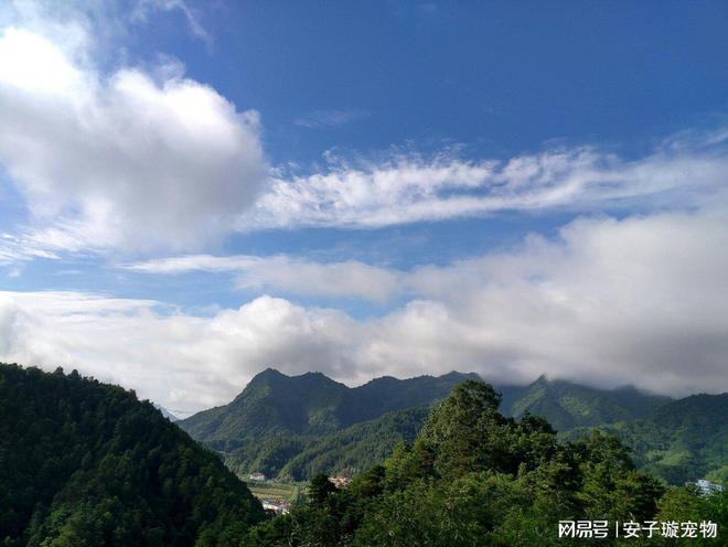 被网友“称赞”的养老县城，有山有水有绿植，就在陕西值得前往(图2)