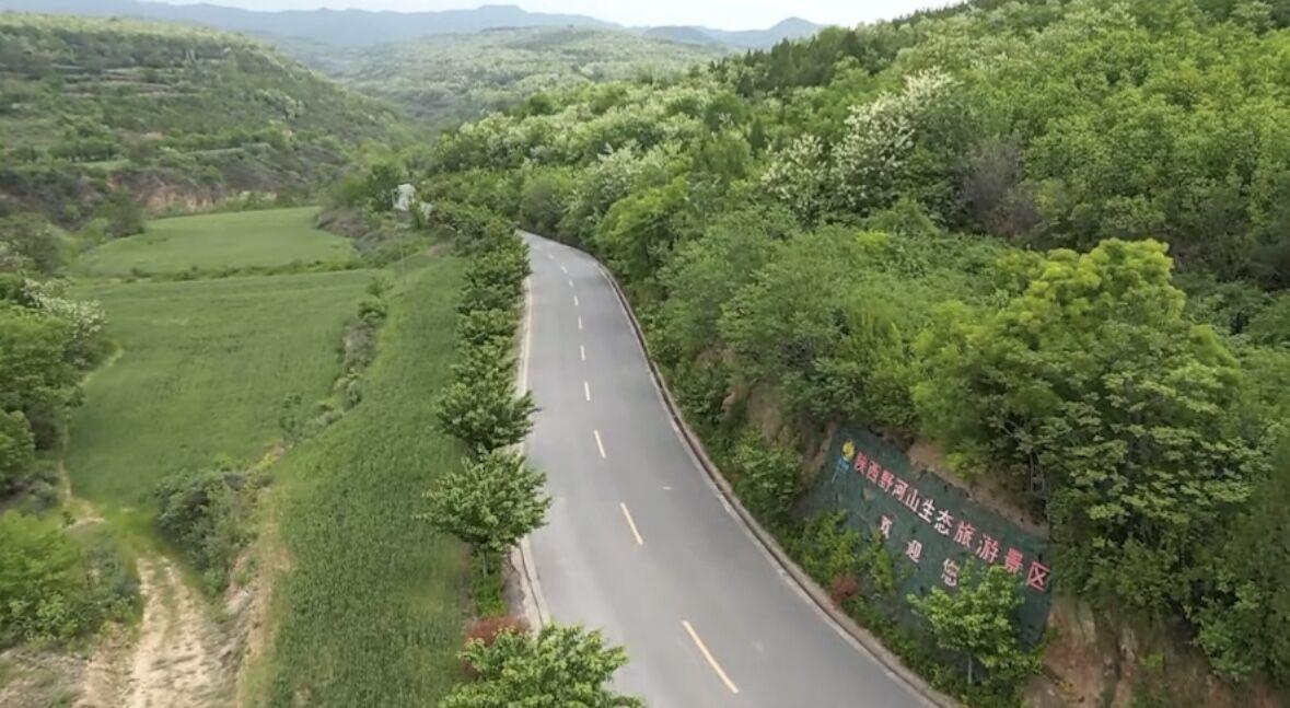 第十二届宝鸡市文化旅游节暨第十六届扶风野河山槐花·蜂蜜节开幕(图3)