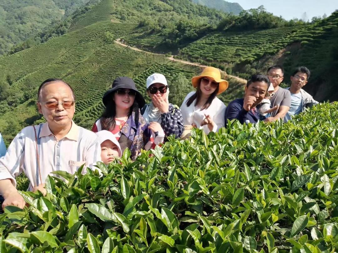 陕西婵茶文化共享茶园孵化基地项目启动(图5)