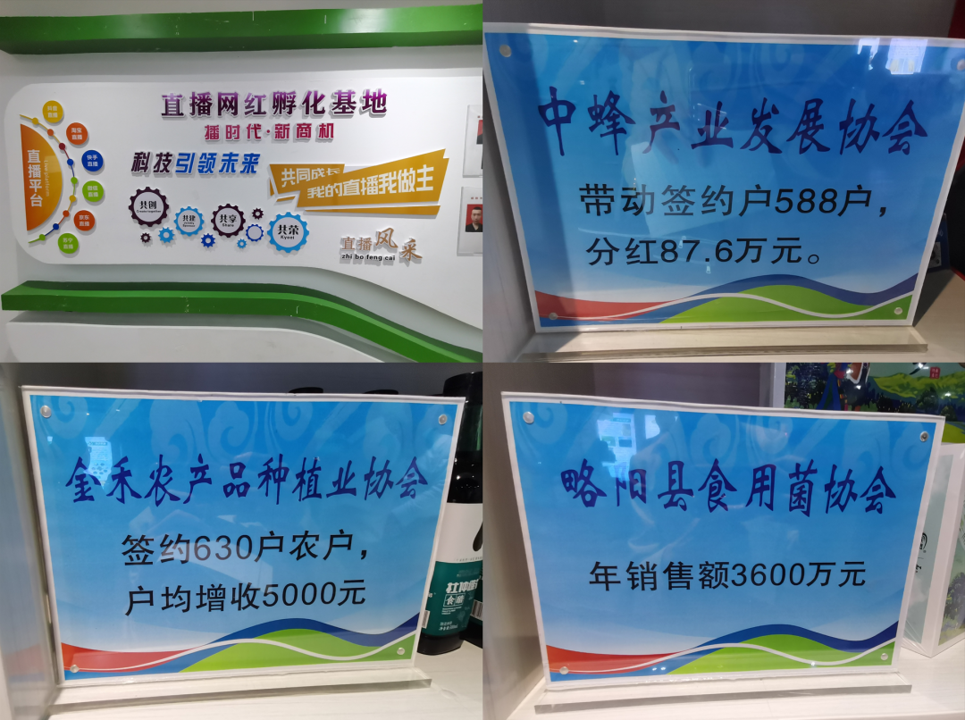陕西社会组织“合力团”助力乡村振兴显身手(图2) 陕西社会组织“合力团”助力乡村振兴显身手(图2)
