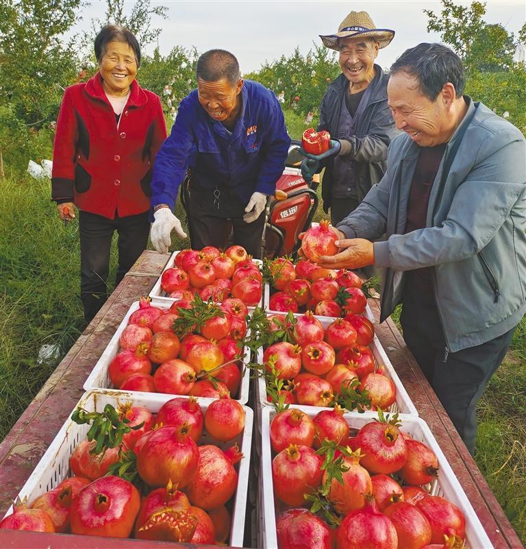 中亚峰会六国元首在西安共同种下见证交流历史、象征团结合作、寄托美好期待的石榴树【石榴花开满长安】(图2)