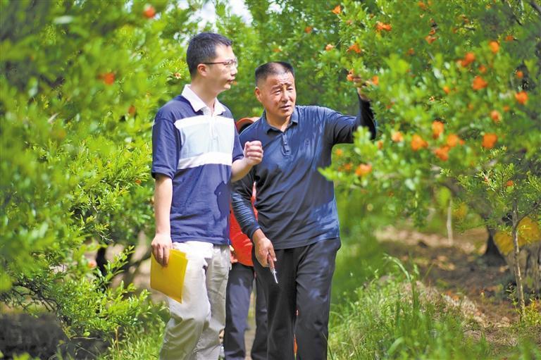 中亚峰会六国元首在西安共同种下见证交流历史、象征团结合作、寄托美好期待的石榴树【石榴花开满长安】(图4)