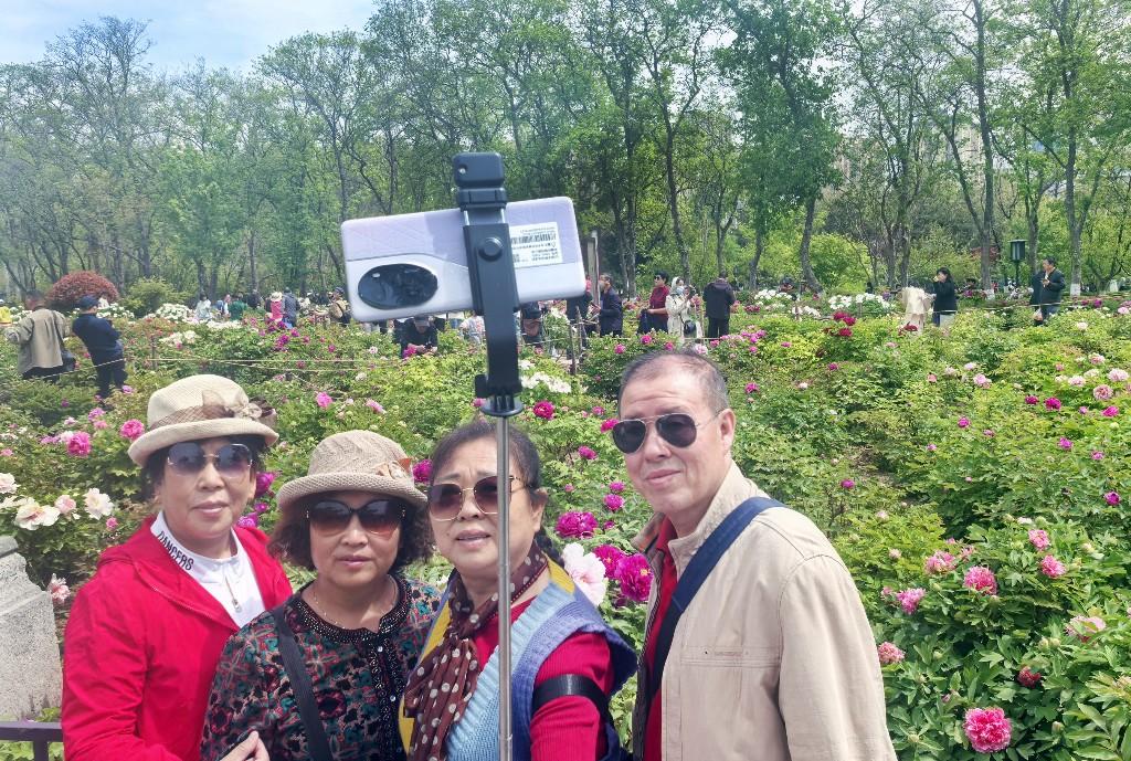 沉香亭畔花倾城 牡丹怒放醉游人(图9)