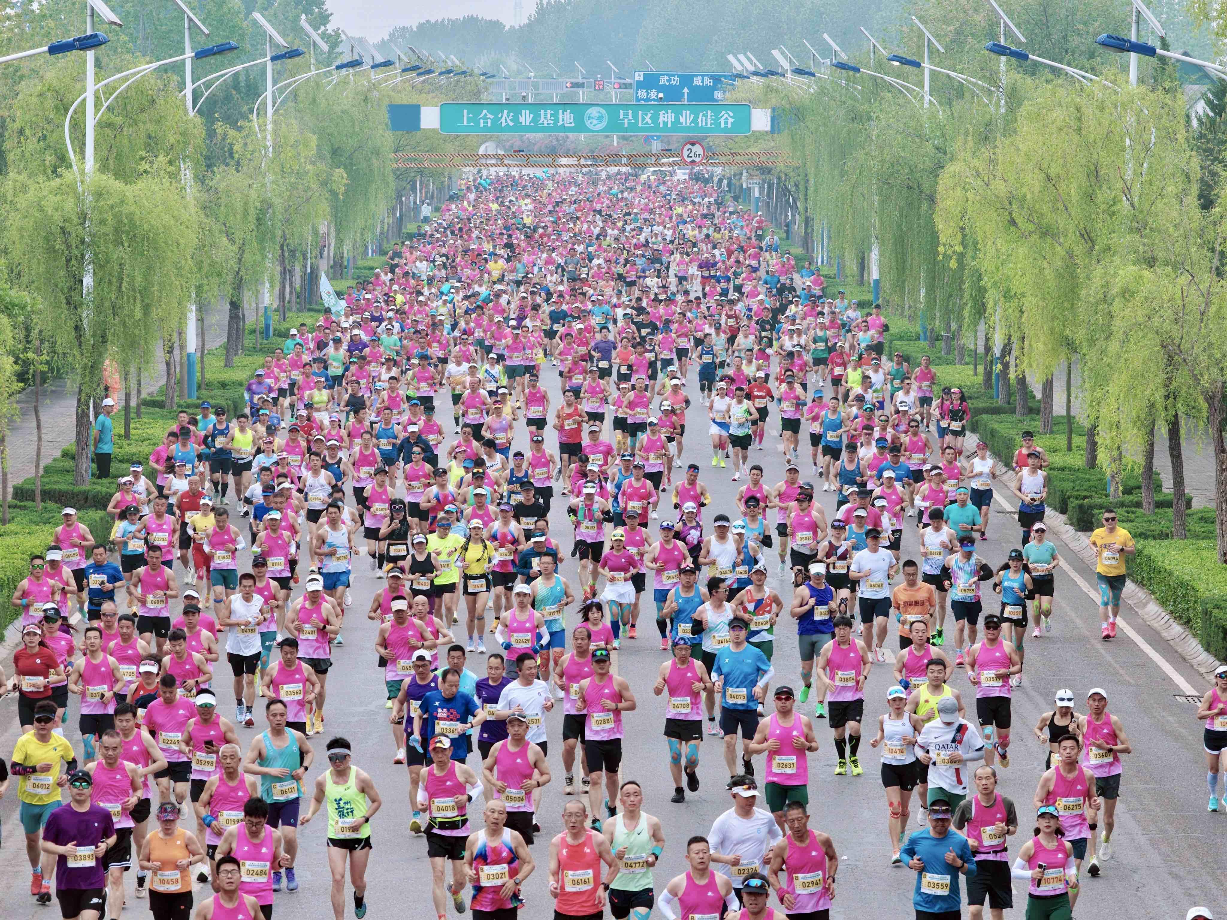 2026杨凌农科城马拉松赛鸣枪开赛,2万名跑友奔跑在农科城(图2)