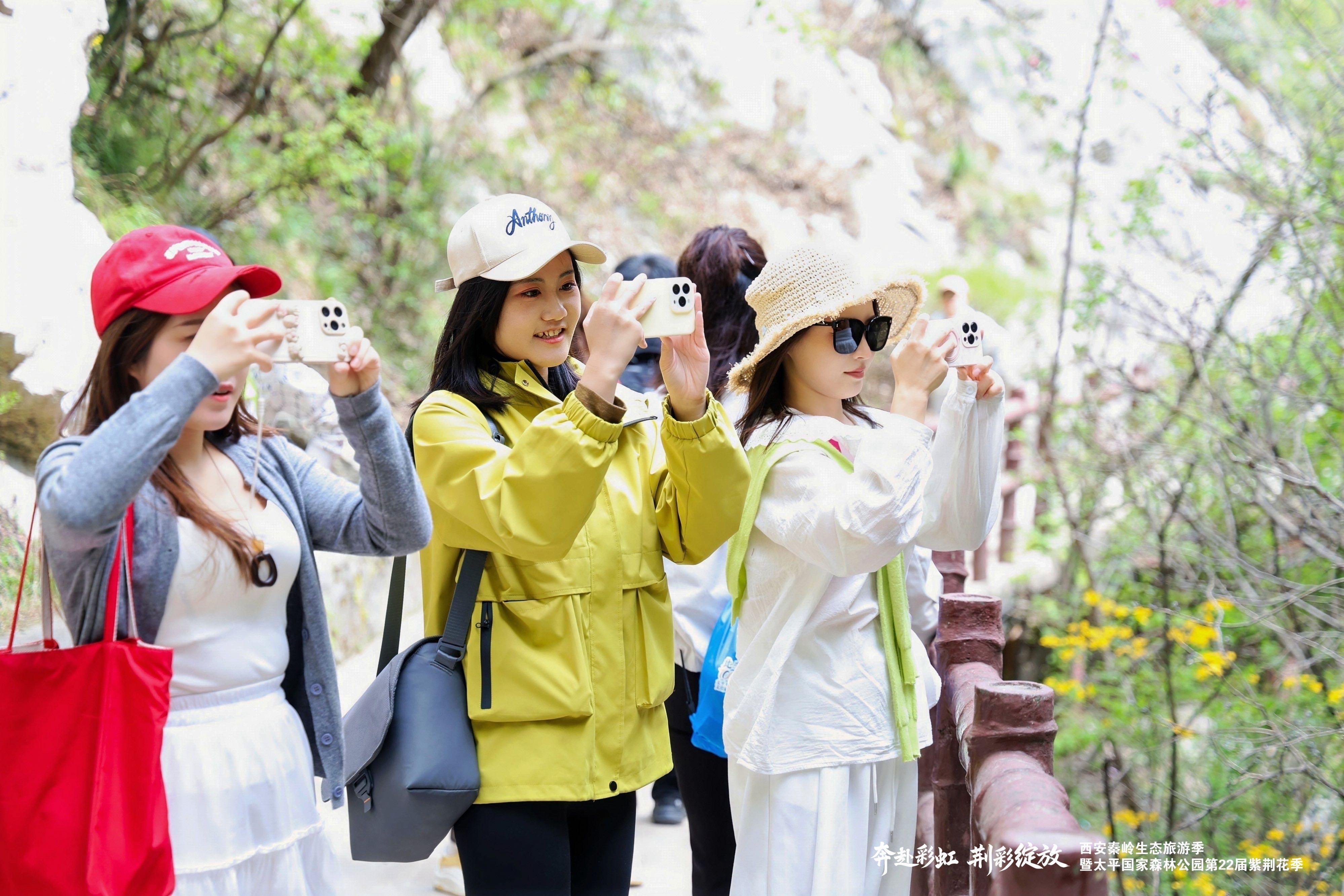 太平第二十二届紫荆花季盛大启幕(图4)