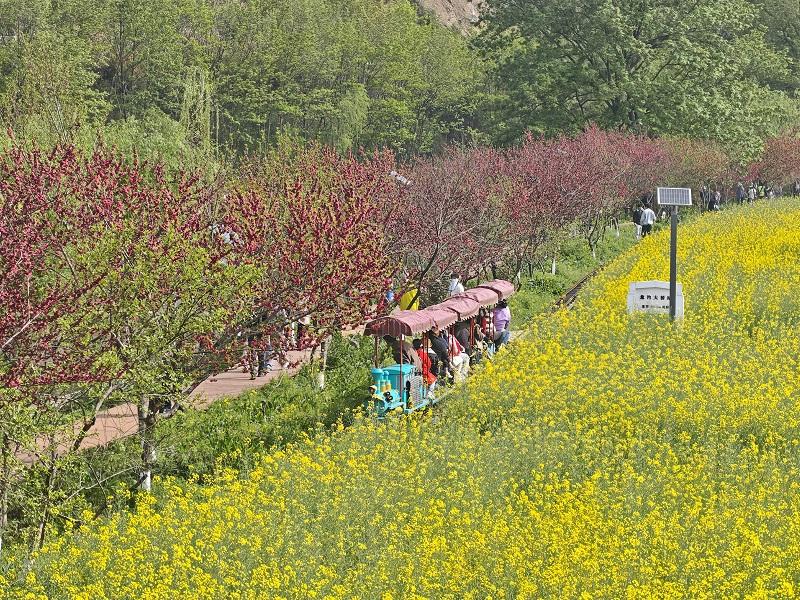 清明假期勉县文旅市场“热气腾腾”(图1) 清明假期勉县文旅市场“热气腾腾”(图1)
